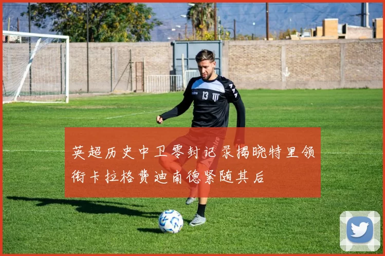 英超历史中卫零封记录揭晓特里领衔卡拉格费迪南德紧随其后